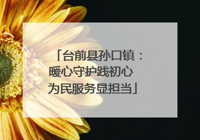 台前县孙口镇：暖心守护践初心 为民服务显担当
